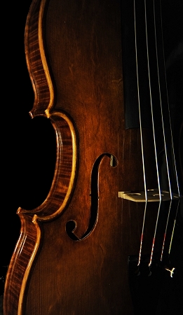 RjA violin cremona italy