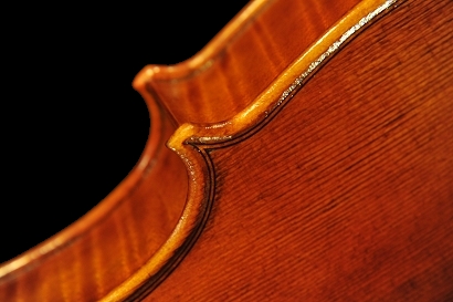 Grisales Violin Ni
