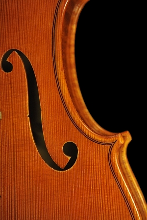 Schudtz Violin Ni
