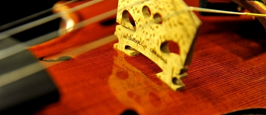 Trabucchi Violin Cremona