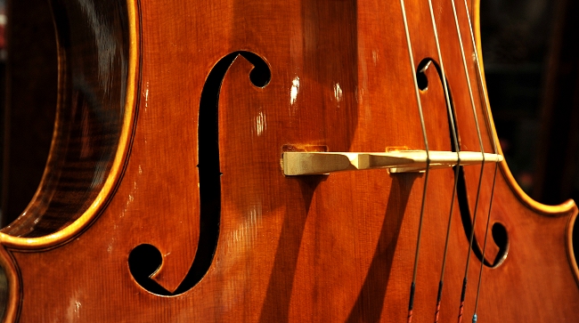 Conia Cello Cremona MAGICO Italy