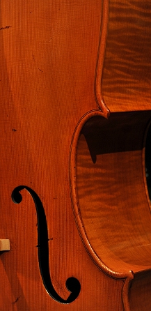 Nolli Marco Cello Ni `F ITALY