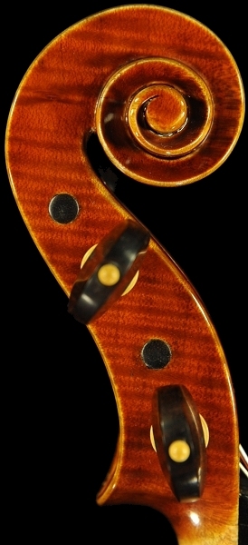 �f�B�r�A�b�W�����t�@�G�� �o�C�I���� �}�W�R