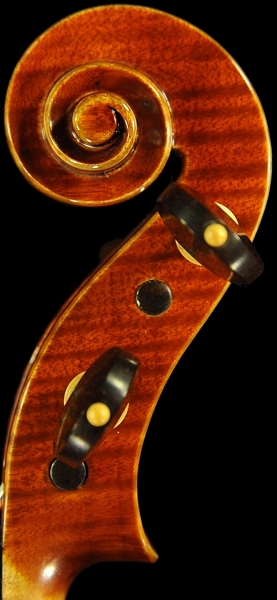 �o�C�I���� �}�W�R Di Biagio