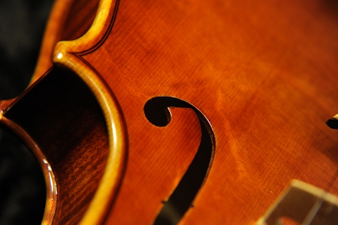 �f�B�r�A�b�W�����t�@�G�� �o�C�I���� �}�W�R