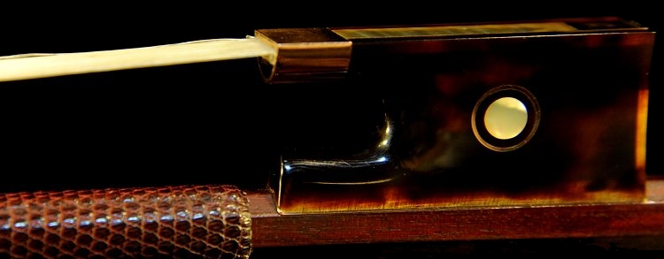 Slaviero �o�C�I�����| �N�����i