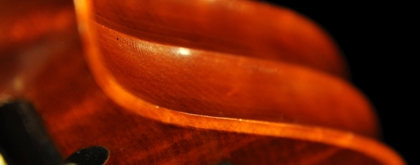 XN[̃C Lorenzo Cassi Violin Cremona ITALY