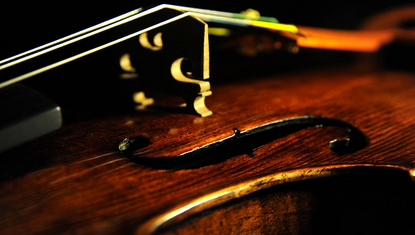 German Old Violin Antique