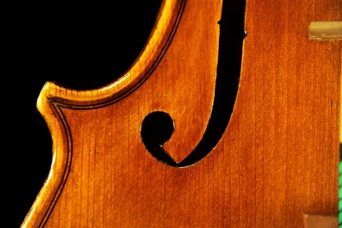 Roberto Ignesti Violin Firenze Italy