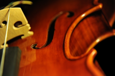 oCI Mathilde Palayer Violin ITALY