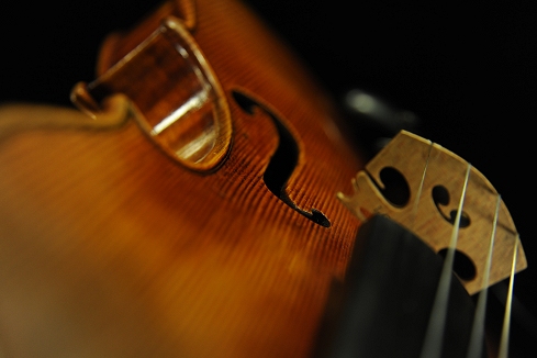 Violin Cremona Italy MAGICO