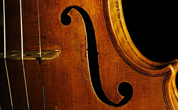 Labeled Fiorini Hungarian Violin MAGICO