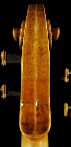 Labeled Fiorini Hungarian Violin