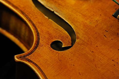 Labeled Fiorini Hungarian Violin MAGICO