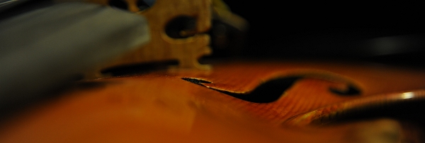 Labeled Riccardo Antoniazzi Violin MAGICO