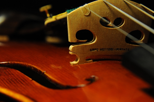 Vettori Violin MAGICO Italy