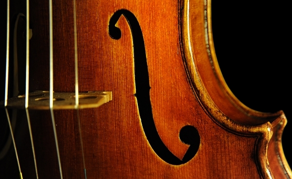 Violin ITALY MAGICO