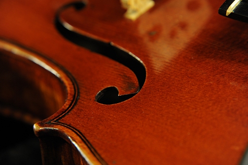 Reale Puglisi Violin Catania Italy