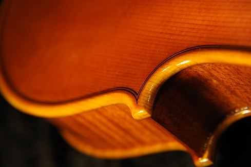 violino magico cremona italy