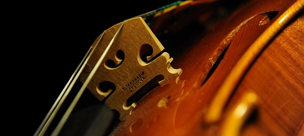 violino magico cremona italy