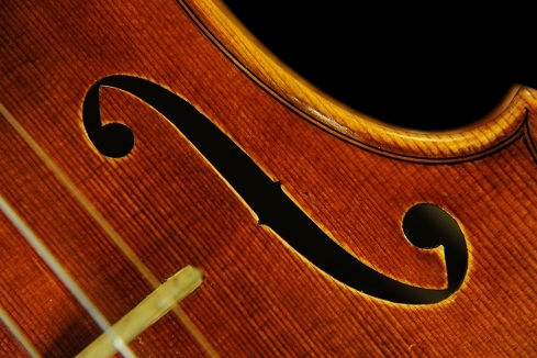 Andrea Schudtz cremona italy violin