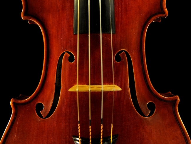 Frank Davis Violin USA mineapolis