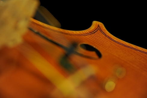 Virgoletti Roberto Violin Italy