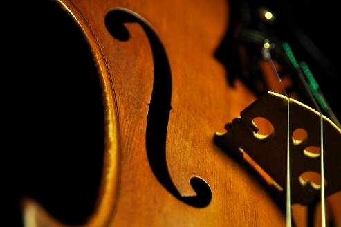 Labeled Karel Vavra Hungarian Violin