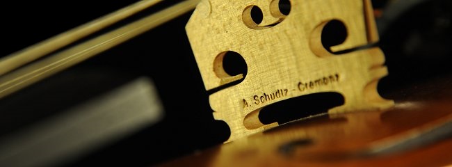 アンドレア シュッツ バイオリン マジコ