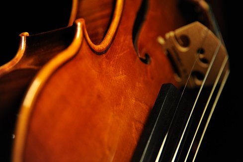 バイオリン マジコ ITALY イタリア