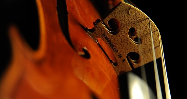 Violin Magico Di Biagio Raffaello