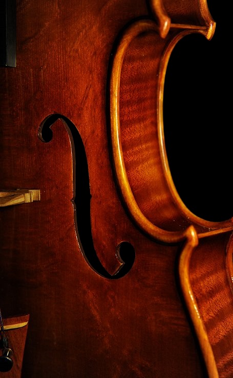 最高級 Val di Fiemme 産 アベーテロッソのマスキアート材