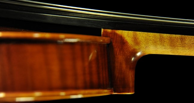 Violin Magico Di Biagio Raffaello