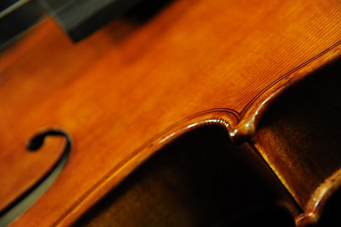 Labeled Carolus Badarello Hungarian Violin