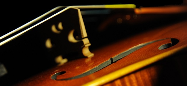 イタリア バイオリン ディビアッジョ LABO