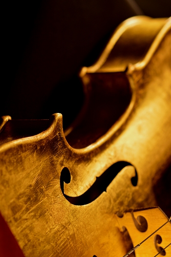Gold Violin Italian MAGICO