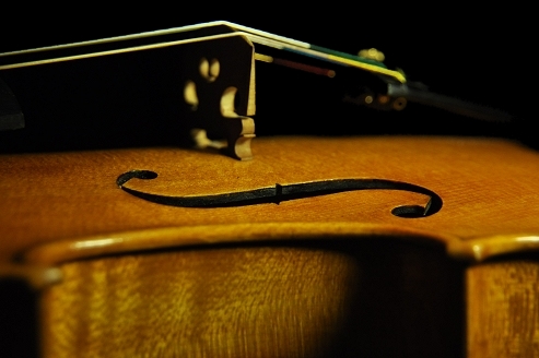 Polo Vettori MAGICO Violin C^A