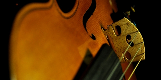 Polo Vettori MAGICO Violin ITALY