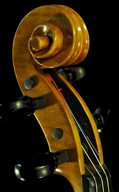 Polo Vettori Violin C^A