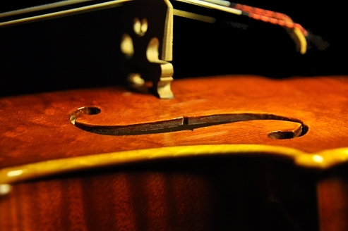 Palayer MAGICO Violin ITALY