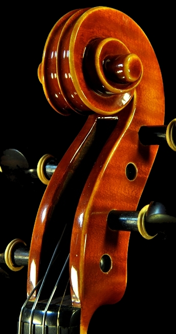 Mathilde Palayer MAGICO Violin