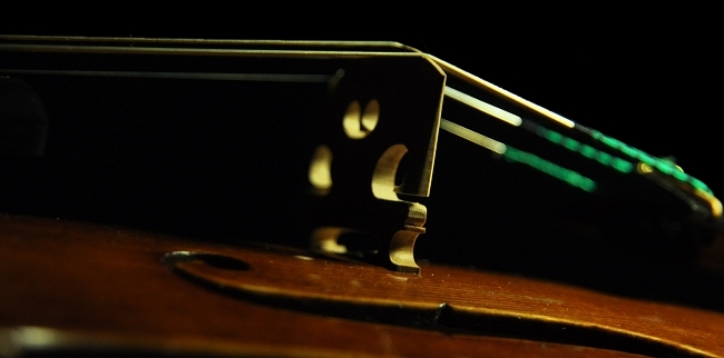 Lapo Vettori MAGICO Violin