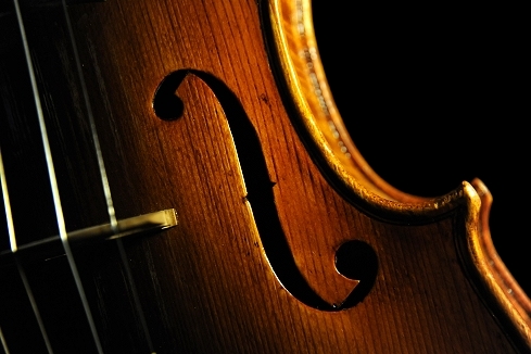 Vettori Violin MAGICO
