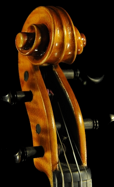 Polo Vettori Violin C^A MAGICO
