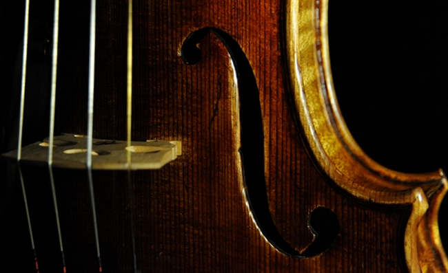 Violin MAGICO Cremona Italy