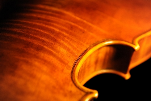 ダリオ アグッツィ バイオリン イタリア