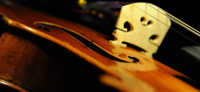 バイオリン イタリア MAGICO