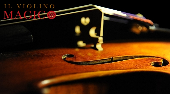 バイオリン MAGICO マジコ