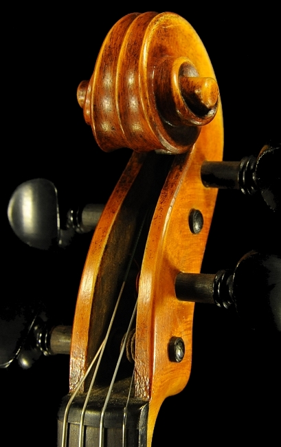 Dario Aguzzi Violin MAGICO }WR