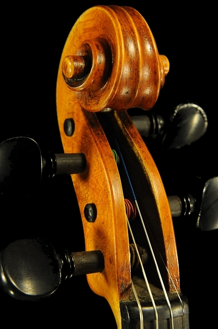 ダリオ アグッツィ バイオリン イタリア